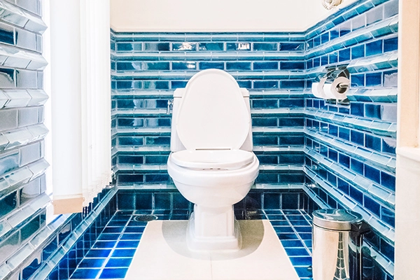 Sanitarios Valencia: inodoro instalado en baño con azulejos azules y suelo cerámico.